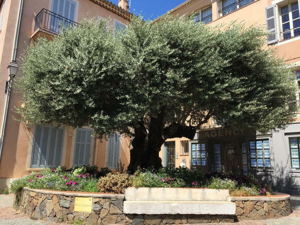 Bastide Du Levant Sainte-Maxime Esterno foto